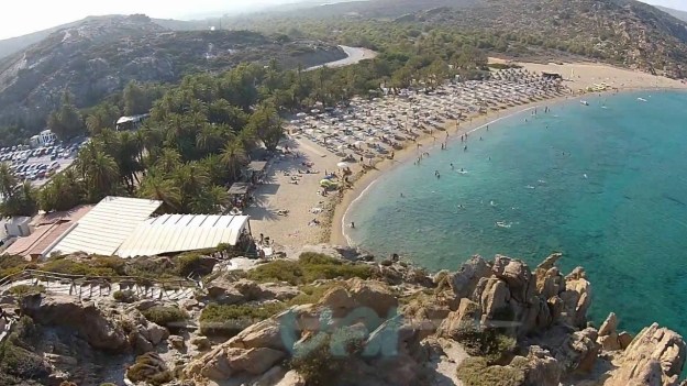 Foenix Wood of Vai, Lasithi