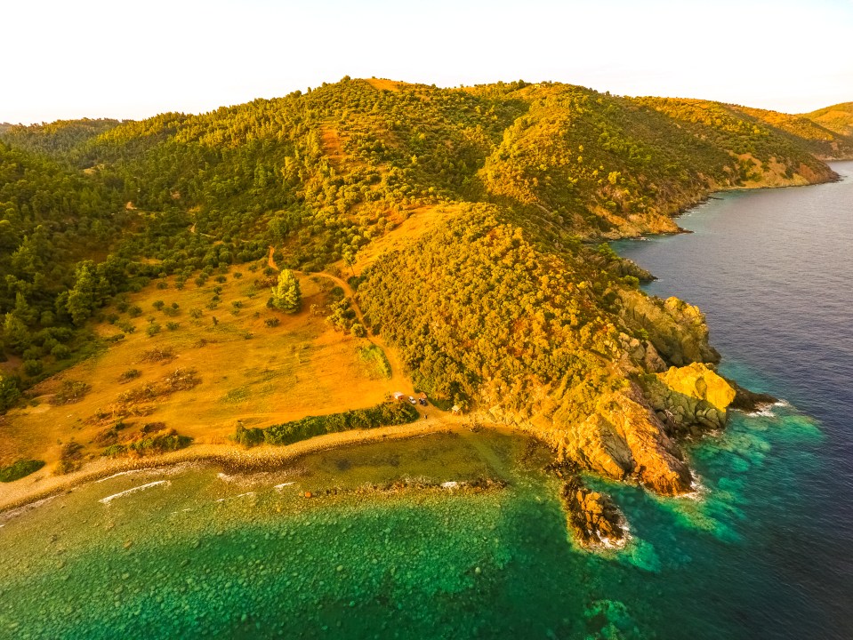 Triton Scuba Diving Club