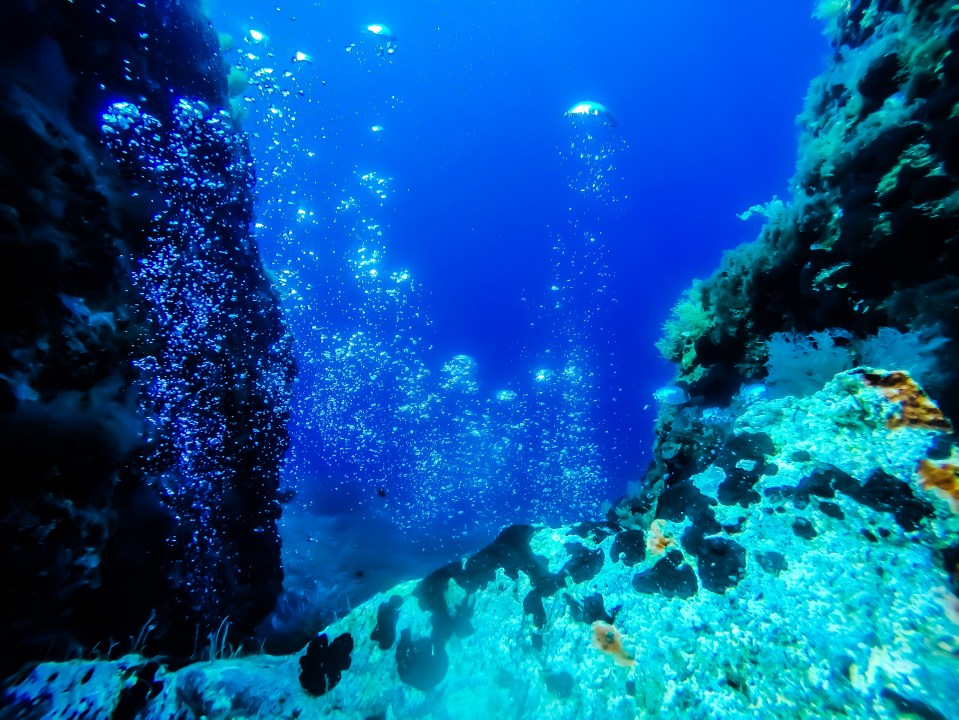 Triton Scuba Diving Club